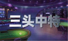 <b>是由省委和省长担任从任</b>