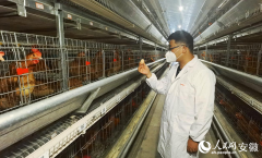 “丰收”到“增收”